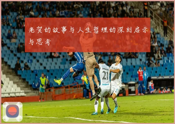 老贺的故事与人生哲理的深刻启示与思考