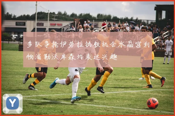 多队争抢伊劳拉执教机会水晶宫利物浦勒沃库森均表达兴趣